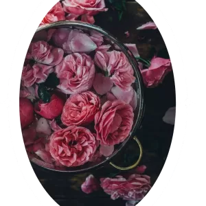 Apartado - Formación para terapeutas - Alquimia Uterina